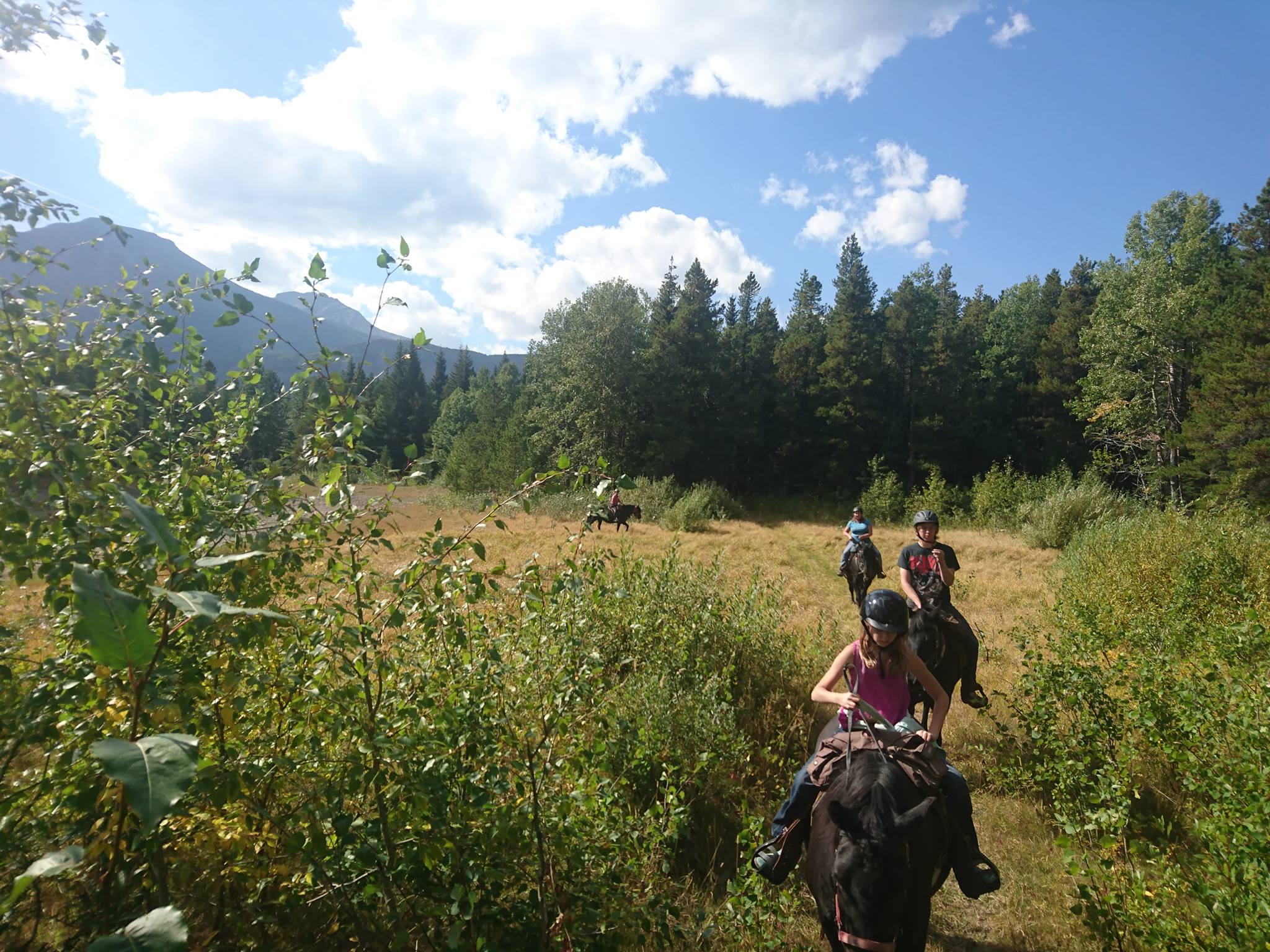 41442500_1280175212117761_274886638612512768_o