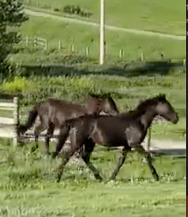 Screenshot 2023-03-23 at 8.06.11 PM