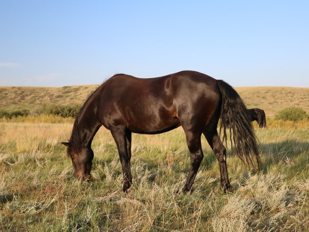 Hope standing in the field
