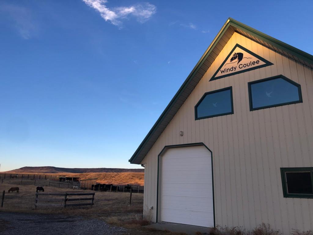 Windy Coulee Barn with sunlight hitting the sign, the herd in the background