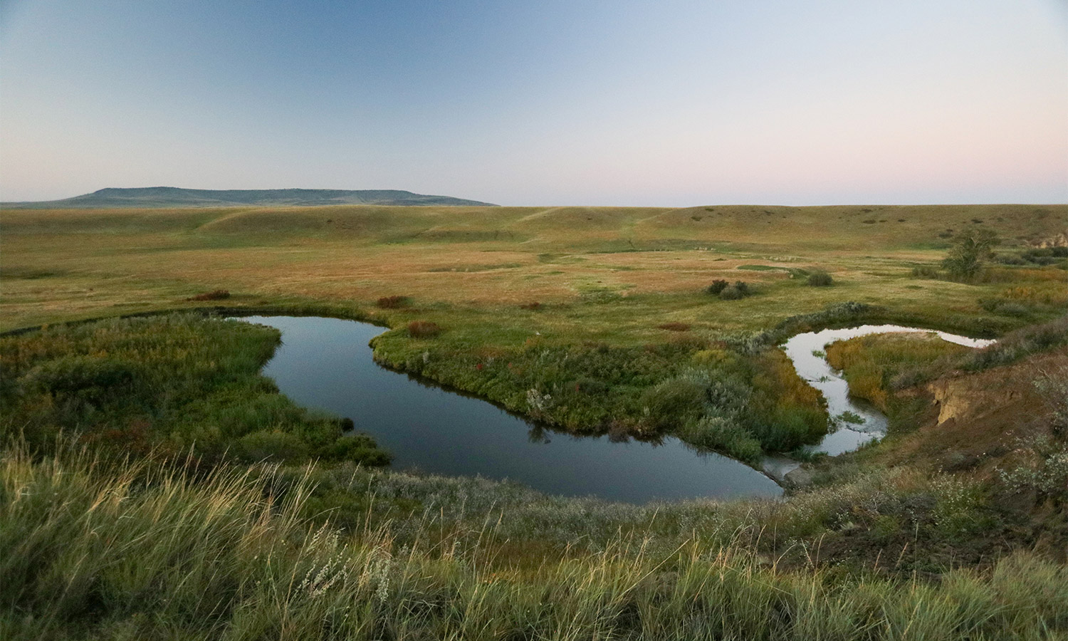 Overlooking the Windy Coulee native grassland and beaver ponds