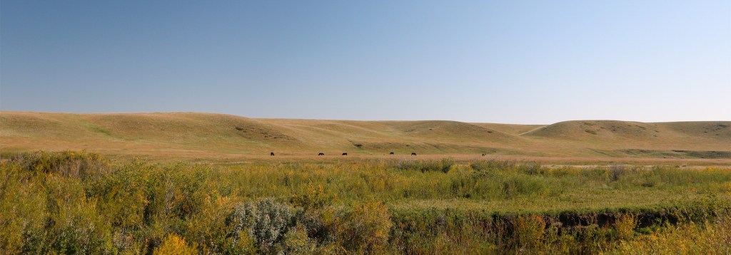 Windy Coulee Ranch Experience on native grassland